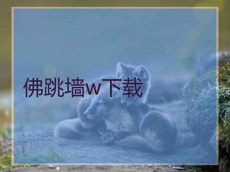 佛跳墙w下载