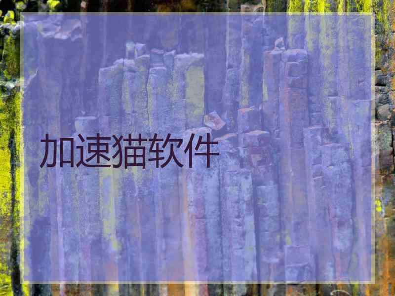 加速猫软件
