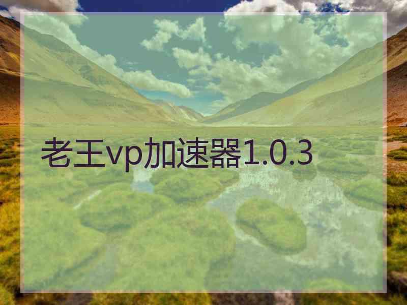 老王vp加速器1.0.3
