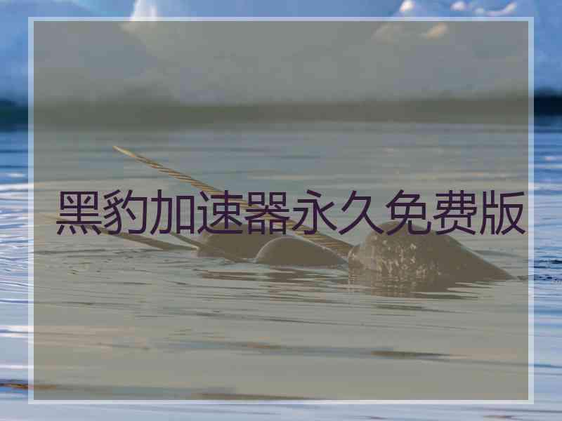 黑豹加速器永久免费版