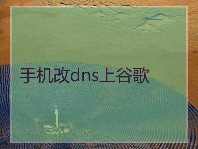 手机改dns上谷歌