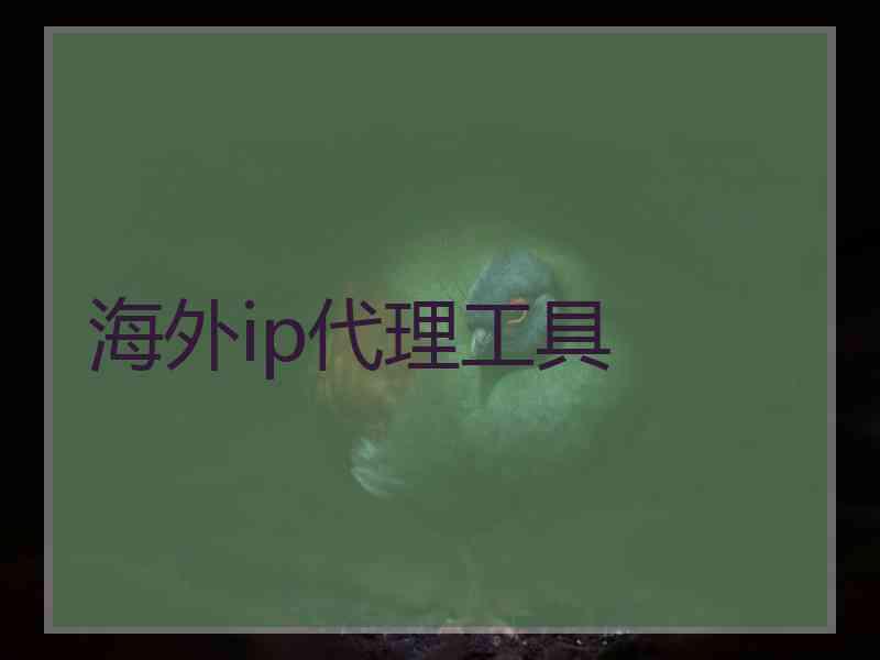 海外ip代理工具
