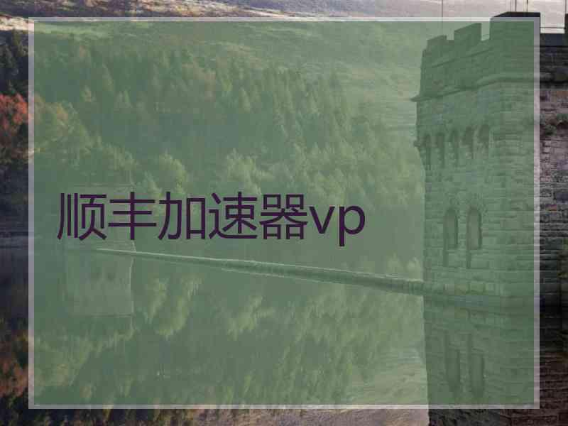 顺丰加速器vp