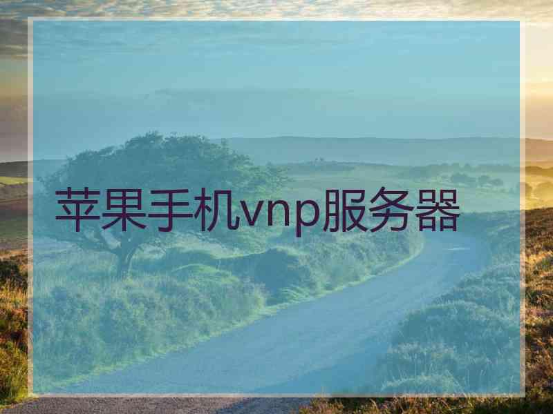 苹果手机vnp服务器