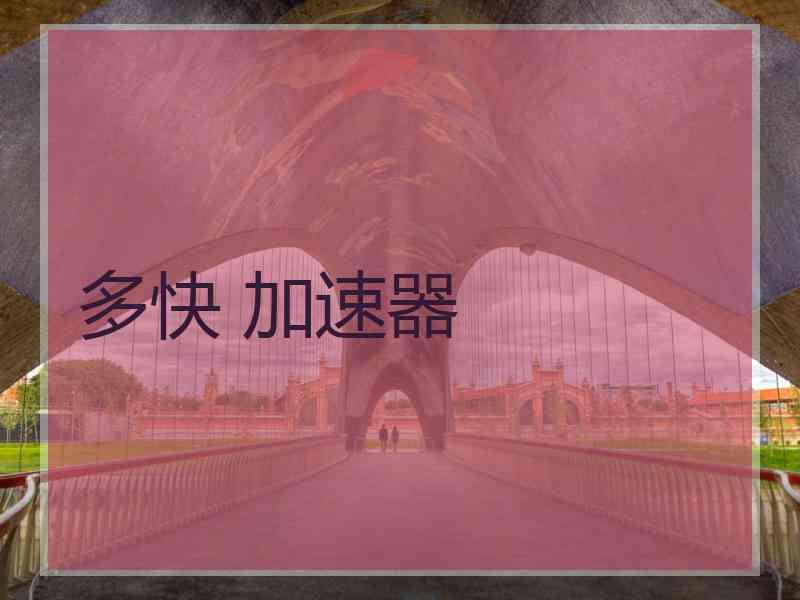 多快 加速器