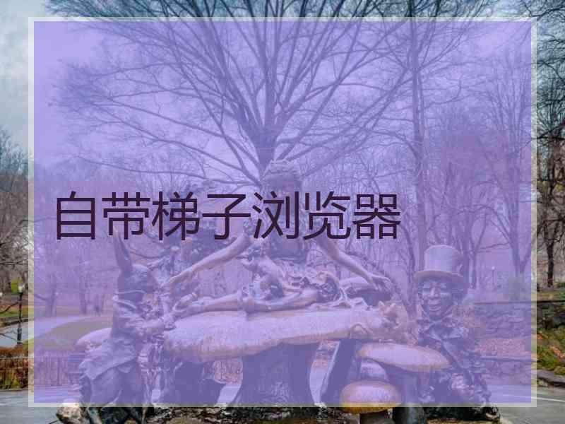 自带梯子浏览器