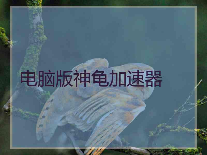 电脑版神龟加速器