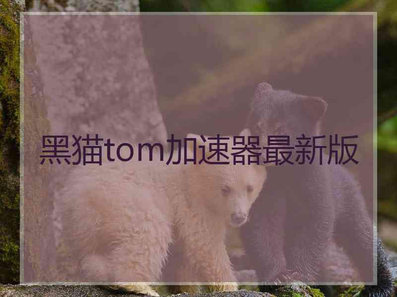 黑猫tom加速器最新版