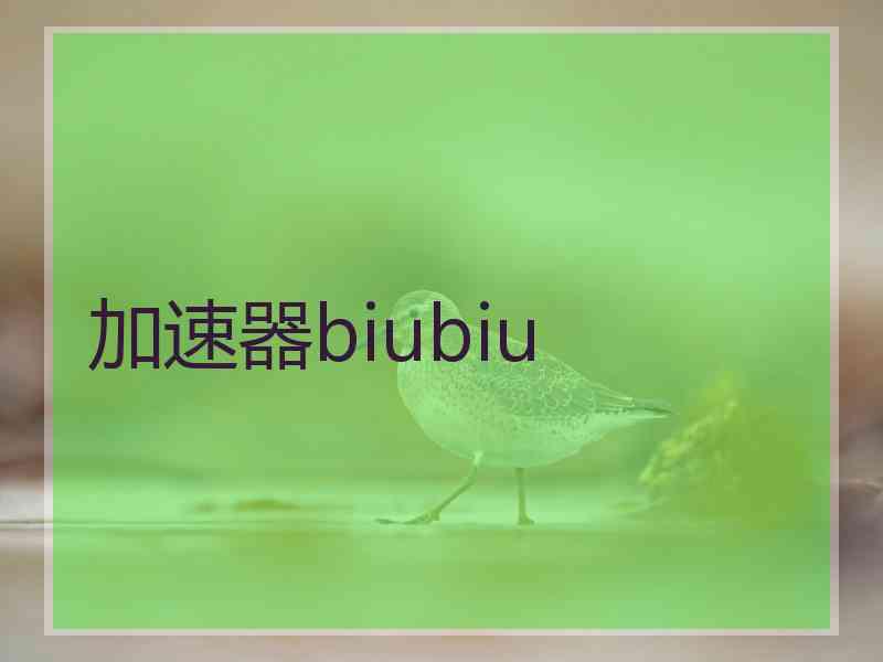 加速器biubiu