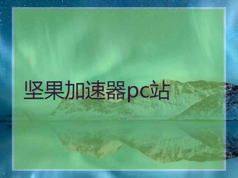 坚果加速器pc站