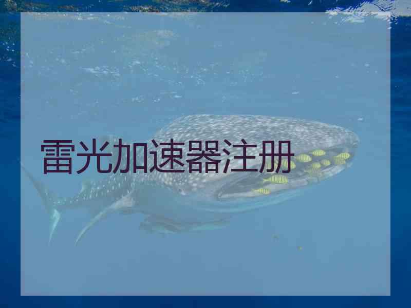 雷光加速器注册