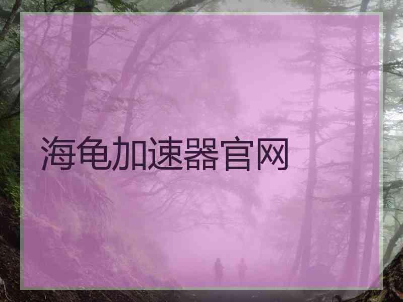 海龟加速器官网