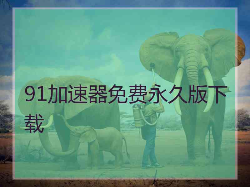 91加速器免费永久版下载