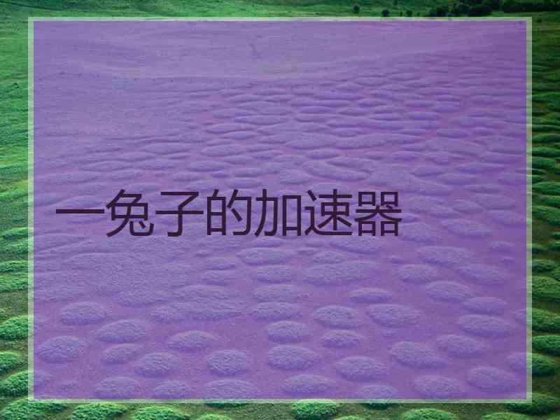 一兔子的加速器