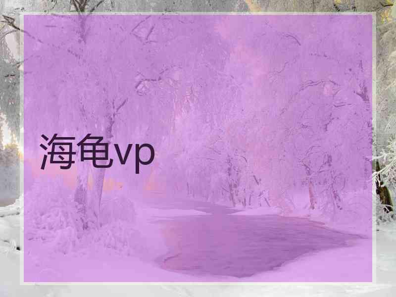 海龟vp