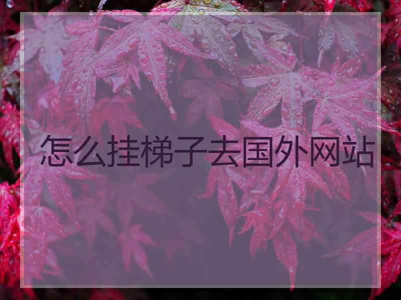 怎么挂梯子去国外网站
