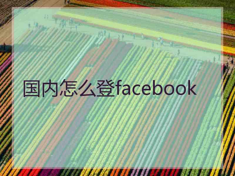 国内怎么登facebook