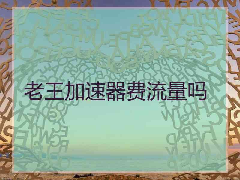 老王加速器费流量吗