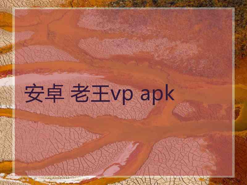 安卓 老王vp apk