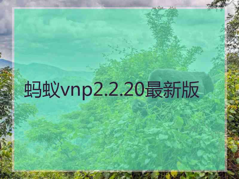 蚂蚁vnp2.2.20最新版