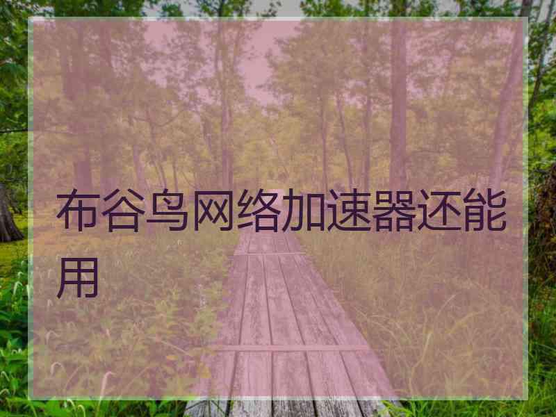 布谷鸟网络加速器还能用