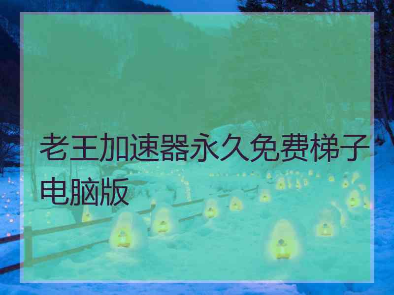 老王加速器永久免费梯子电脑版