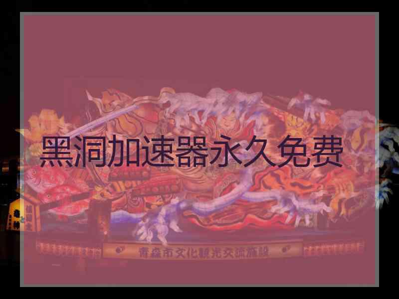 黑洞加速器永久免费