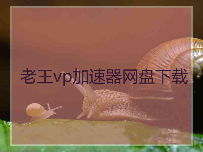 老王vp加速器网盘下载