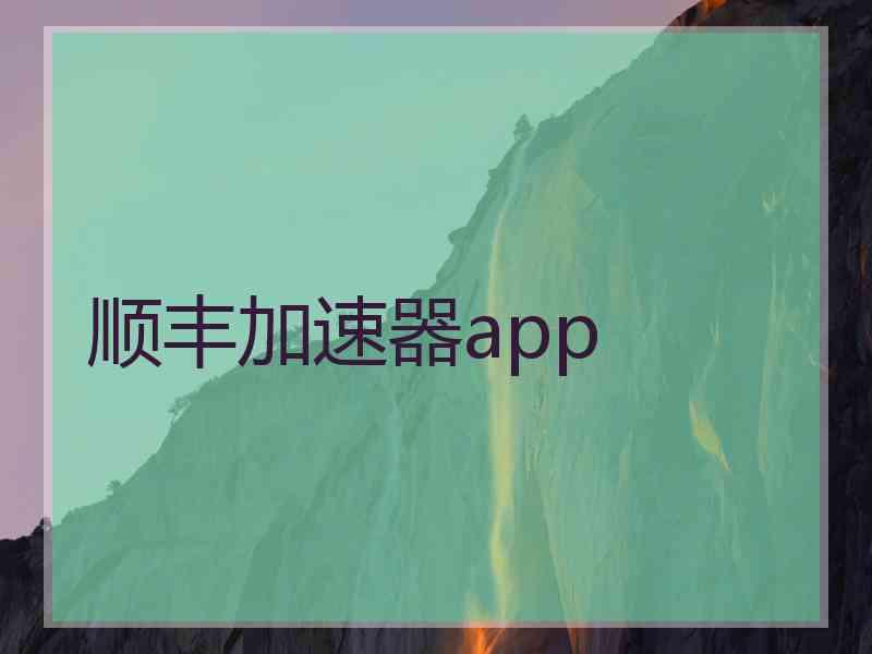顺丰加速器app