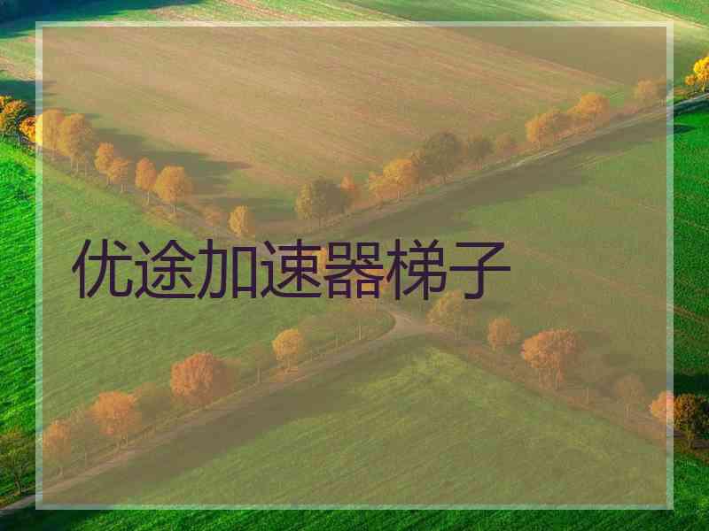 优途加速器梯子