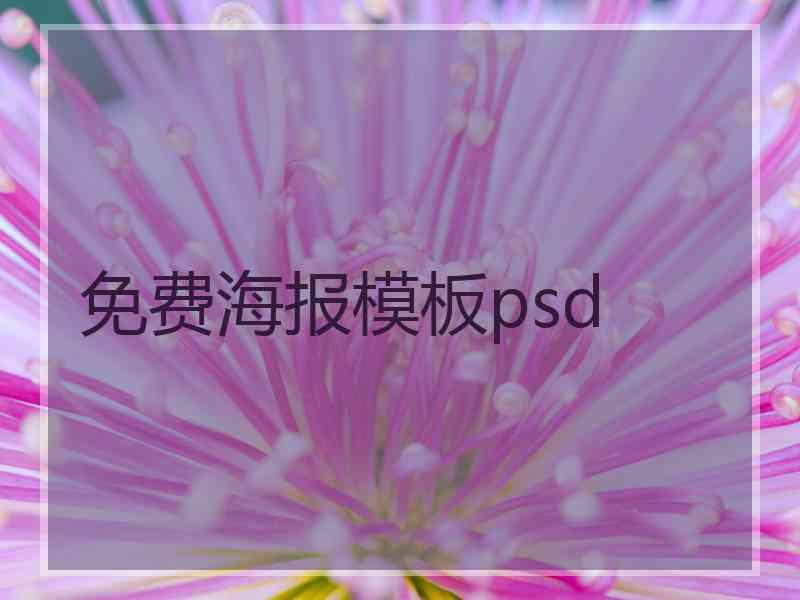 免费海报模板psd