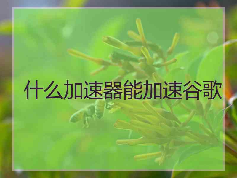 什么加速器能加速谷歌