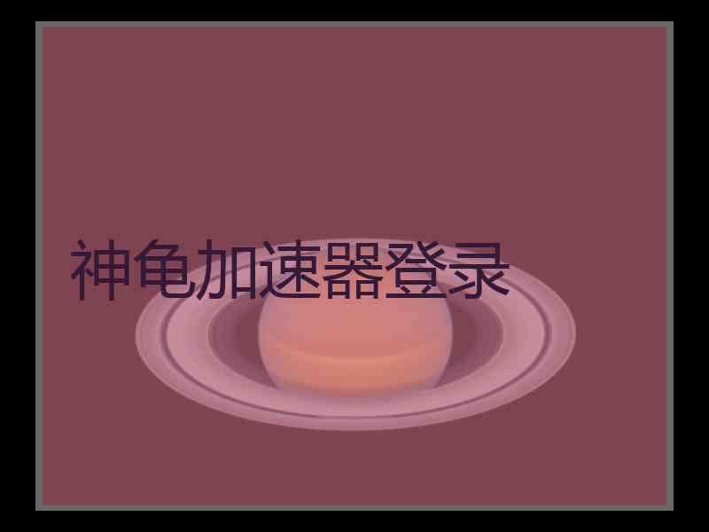 神龟加速器登录