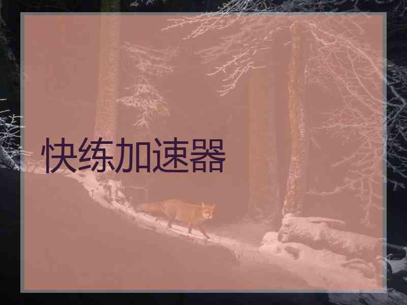 快练加速器