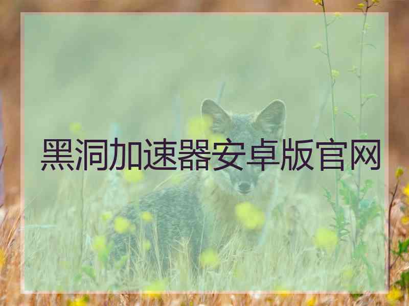 黑洞加速器安卓版官网