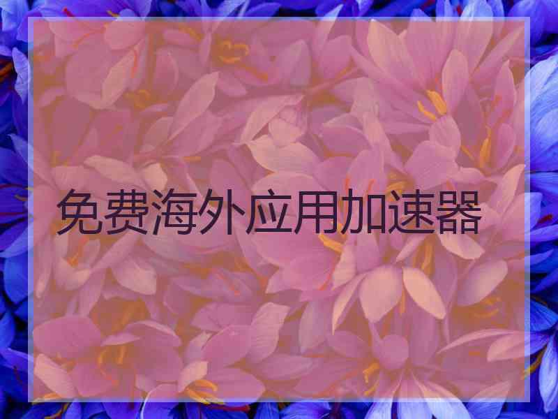 免费海外应用加速器