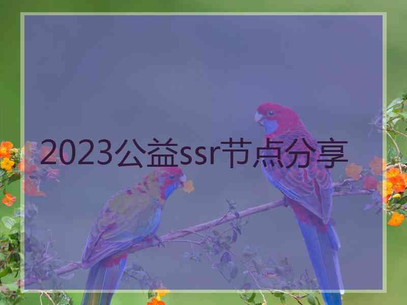 2023公益ssr节点分享