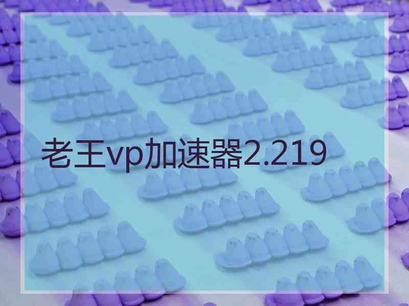 老王vp加速器2.219