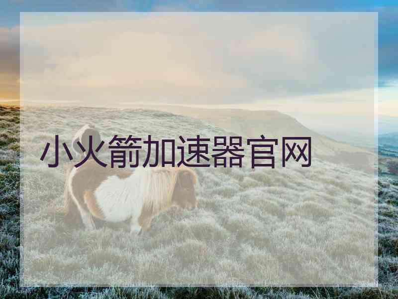 小火箭加速器官网