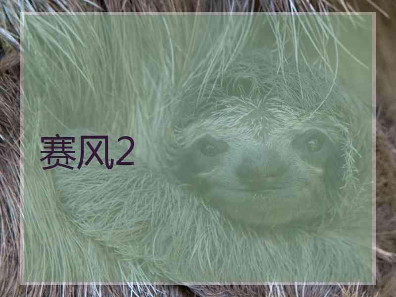 赛风2