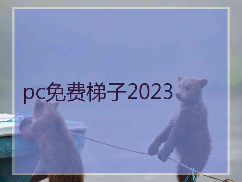 pc免费梯子2023