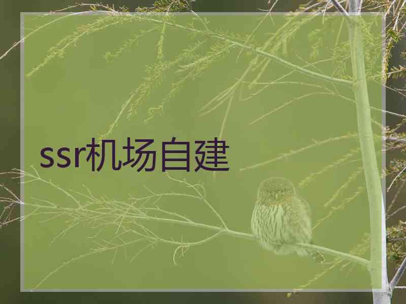 ssr机场自建