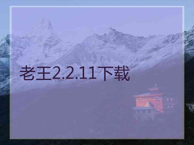 老王2.2.11下载