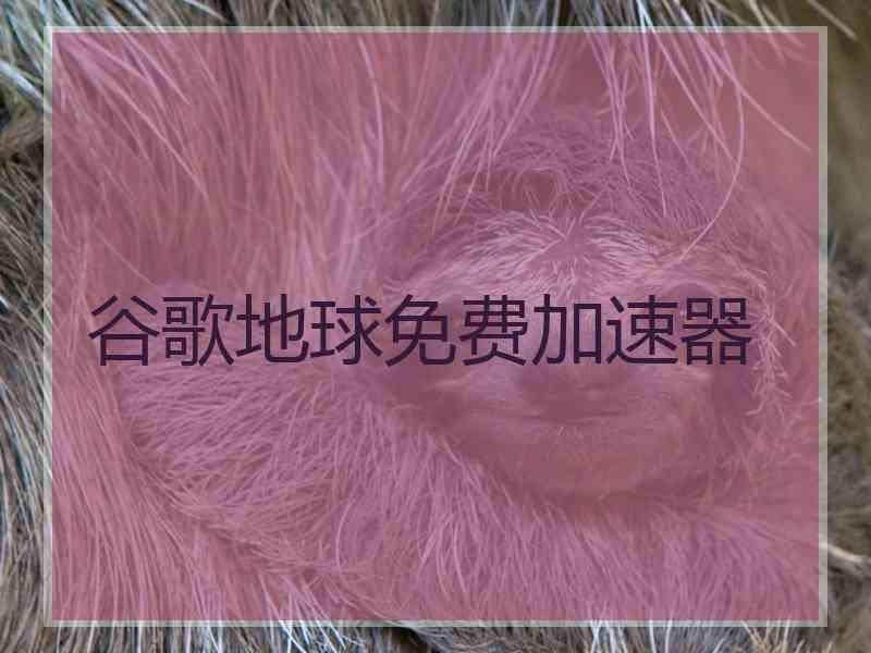 谷歌地球免费加速器