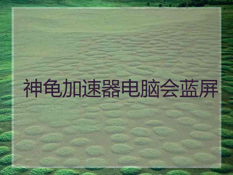 神龟加速器电脑会蓝屏