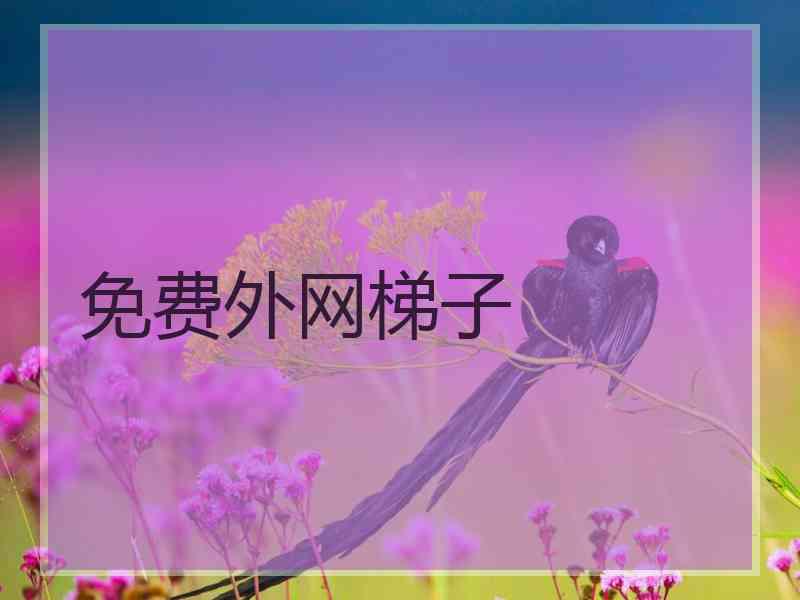 免费外网梯子
