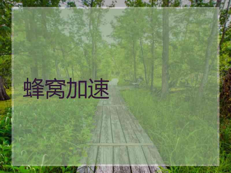 蜂窝加速