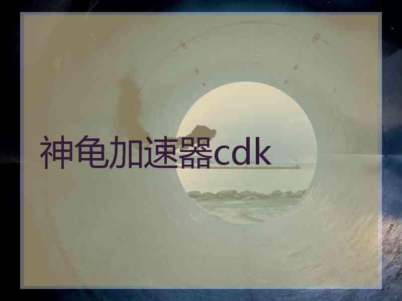 神龟加速器cdk