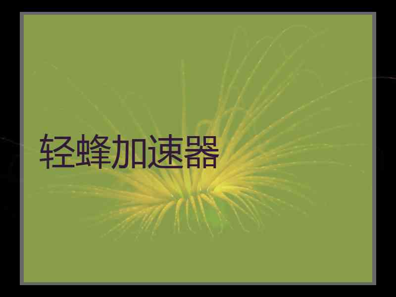 轻蜂加速器