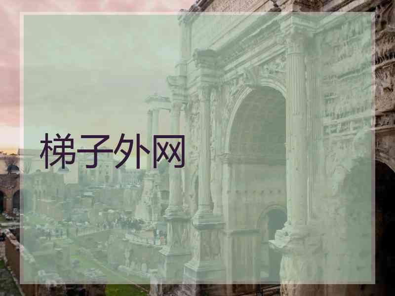 梯子外网